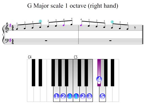 G Major scale 1 octave (right hand) | Piano Fingering Figures