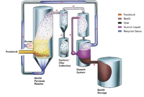 Insights into Biomass Pyrolysis | Cleantech Solutions