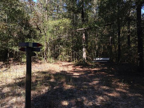 Lakewood Park: Florida’s High Point at Britton Hill – Florida Hikes