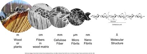 What is microfibrillated cellulose (MFC)? - Weidmann Fiber Technology