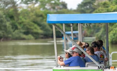 Caño Negro Wildlife Refuge Rio Frio Boat Tour at Los Chiles