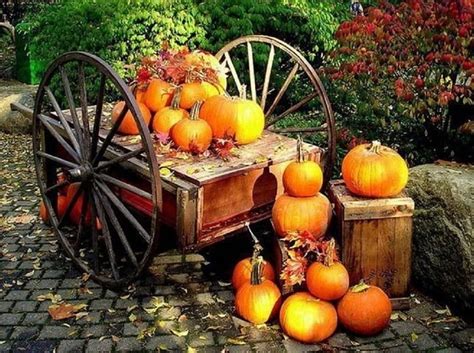 Fall harvest, fall, harvest, garden, nature, pumpkins, HD wallpaper ...