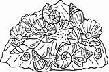 Sea Shells Coloring Page Printable Sketch sketch template