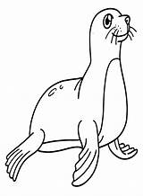 30  Seal Coloring Pages Free Printable PDF JPG PNG & Online sketch template