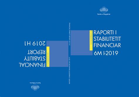 Financial Stability Report - 2019 H1