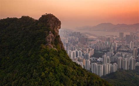 Lion Rock Hike In Hong Kong: The Hiker's Guide