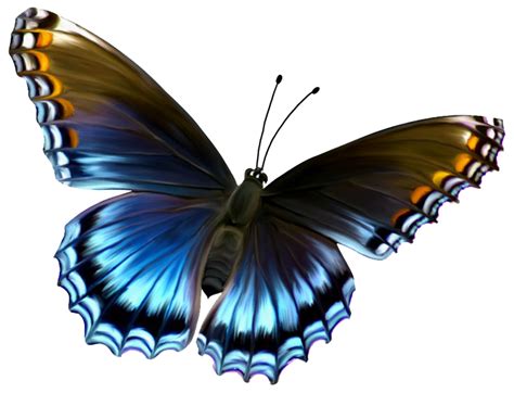 Butterfly PNG Transparent Butterfly.PNG Images. | PlusPNG