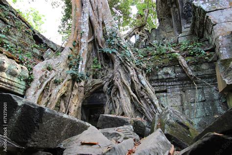 Ruins and walls of an ancient city in Angkor complex, near the ancient capital of Cambodia ...