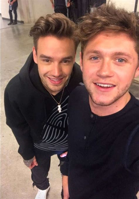 Liam Payne and Niall Horan Have One Direction Reunion