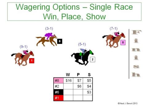 how do each way odds work in horse racing - Emilia Moser