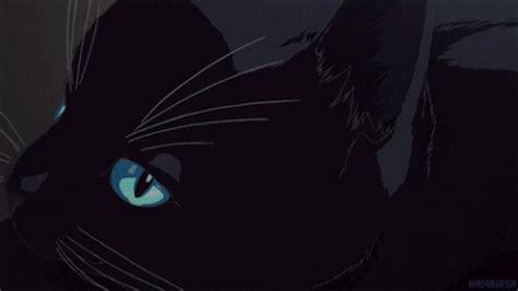 Animated Black Cat Gifs