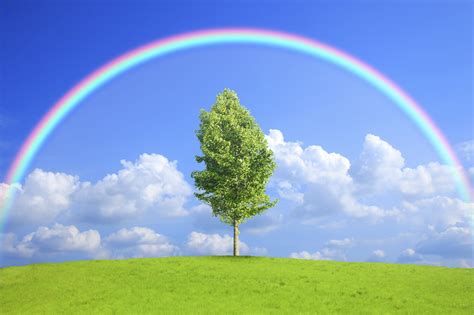 sky, Clouds, Rainbow, Trees, Nature Wallpapers HD / Desktop and Mobile Backgrounds