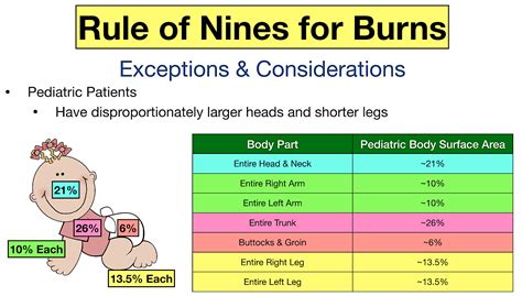 Rule Of Nines Chart.pdf