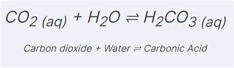 Balanced equation of carbon dioxide reacting in water to form carbonic... | Download Scientific ...