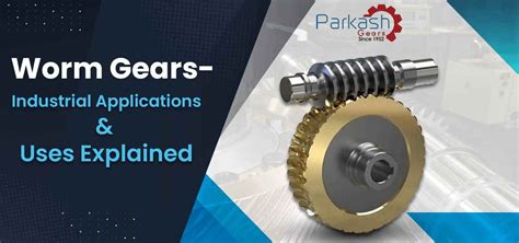 Worm Gears- Industrial Applications & Uses Explained - Parkash Gears