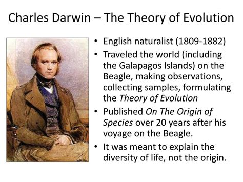 PPT - Forces that Drive Evolution PowerPoint Presentation, free download - ID:2162244