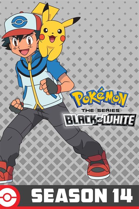 Pokemon The Series: Black And White The Complete Season 14 [DVD] Best ...