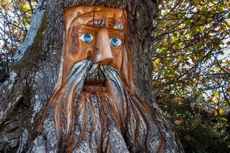 El Bosque Encantado: un lugar de cuento cerca de Málaga