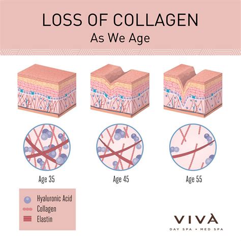 Collagen Boosting Treatments & Products | Viva Day Spa + Med Spa