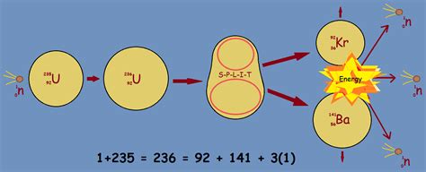 [DIAGRAM] Diagram Of Fission Reaction - MYDIAGRAM.ONLINE