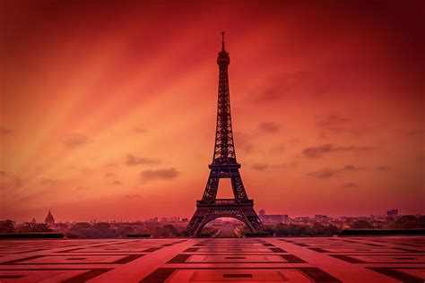 PARIS Eiffel Tower at Sunrise Photograph by Melanie Viola | Pixels