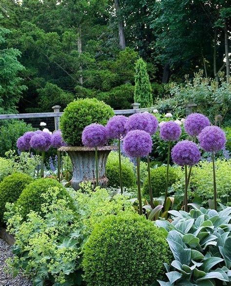 Pin by Linda Henderson on Purple Passion | Purple garden, Garden ...