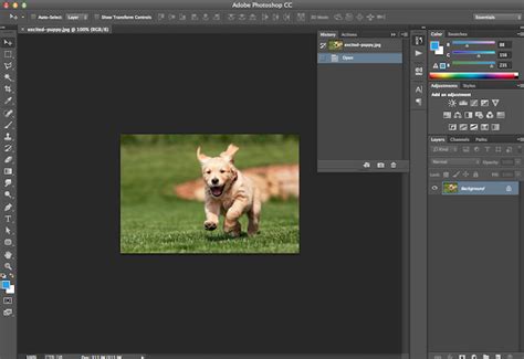 How to Crop Images in Photoshop to Specific Sizes [Quick Tip]