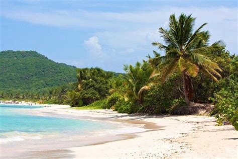 Flamenco Beach Snorkeling: The 1 Of The Best 10 Beaches