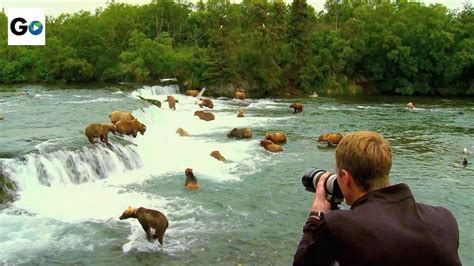 Katmai National Park - YouTube