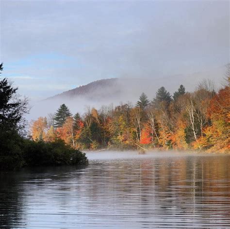 Waterbury Reservoir, VT | Forest bathing, Nature, Waterbury