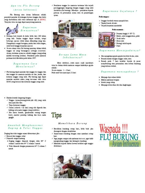 Apa Itu Flu Burung | PDF