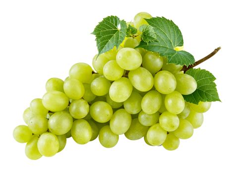 White grapes on a transparent background. by PRUSSIAART on DeviantArt