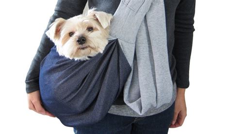 Pet Carriers: Dog Backpack or Dog Sling? It's a Matter of Convenience