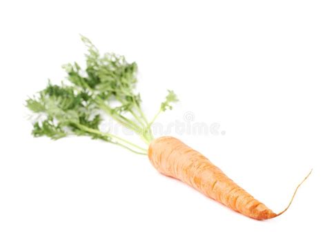 Carrot with the Green Top Isolated Over White Background Stock Image - Image of bright ...