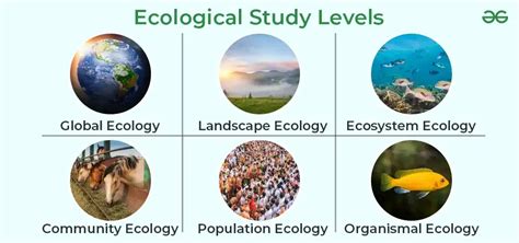 What Is Ecology And Ecosystem, Classification Of Ecosystem, 57% OFF