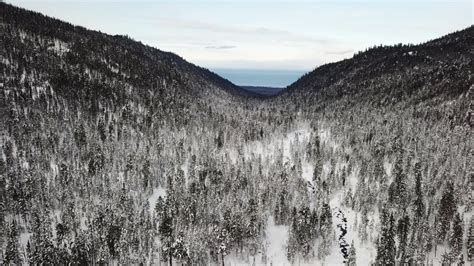 Stop for a moment to admire these breathtaking views of Siberian winter forests (VIDEO) - Russia ...