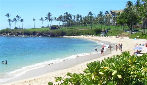 Kapalua Bay beach, West Maui, Hawaii - Ultimate guide (November 2024)