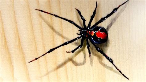 Spider Painting at PaintingValley.com | Explore collection of Spider ...