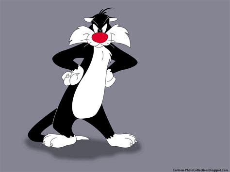 Sylvester Cartoon Photos And Wallpapers | Cartoon Photo and Wallpaper