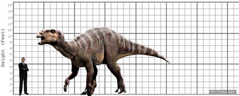 My Iguanodon size comparison by EthanThomas2022 on DeviantArt