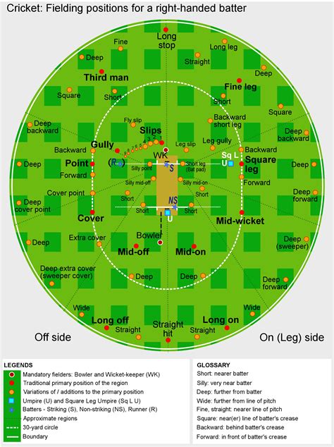 Cricket Fielding Positions: Explaining Each Basic Position