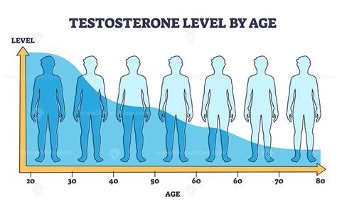 Testosterone level by age and hormone production reduction outline ...