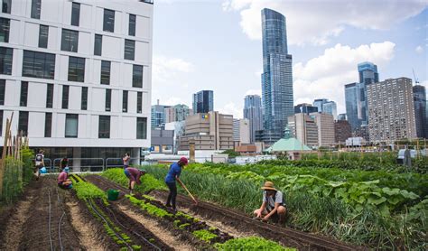 USDA Launches Inaugural Urban Agriculture Grants Program – National ...