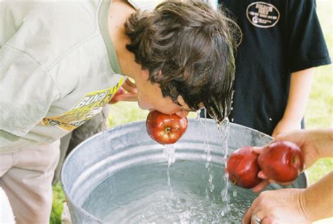 Apple bobbing is a game often played on Halloween. Apples float in a basin full of water ...