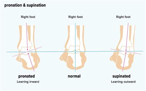 Ankle Supination