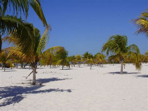 Cayo Largo beach, Cuba - Ultimate guide (November 2024)