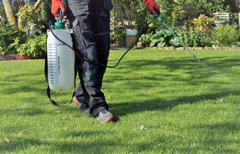 Top 10 Best Pre-Emergent Herbicides For Lawns | Garden Wisper