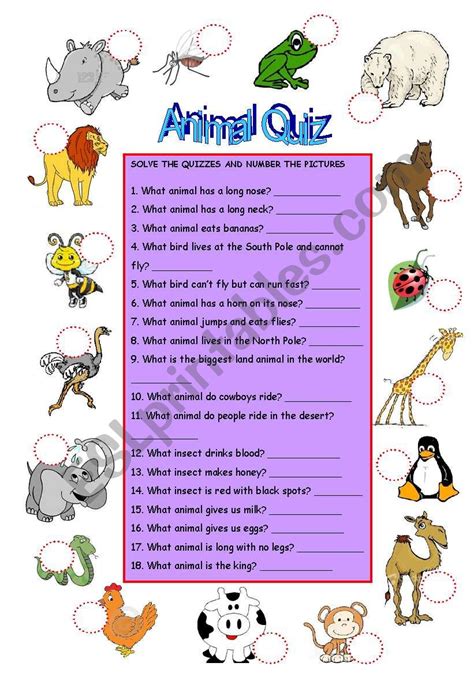 ANIMAL QUIZ - ESL worksheet by hoatth