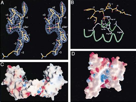 Polyomavirus | Semantic Scholar