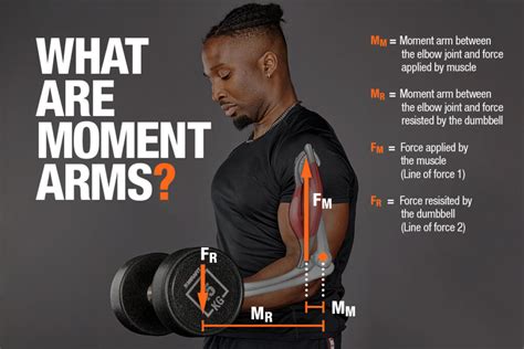 What Are Moment Arms? | Mirafit